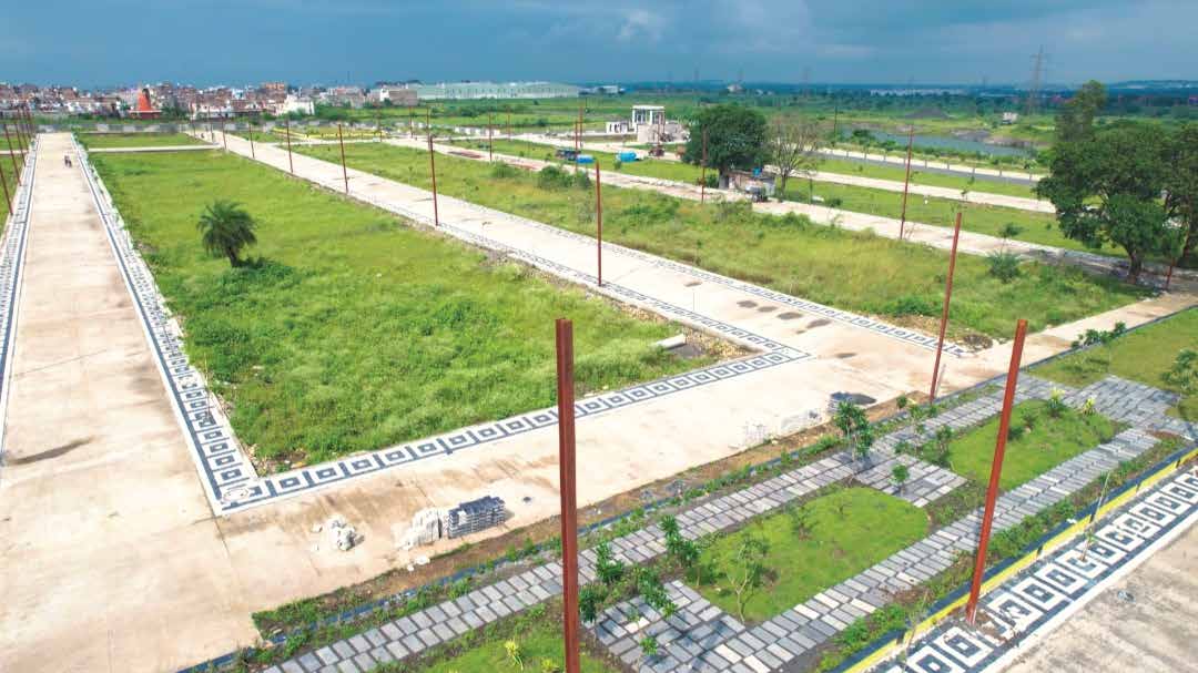 Aerial view of landscaped garden zone